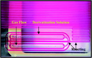 Graphical abstract: A microfluidic lab-on-chip derivatisation technique for the measurement of gas phase formaldehyde