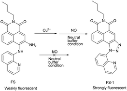 Graphical abstract: Copper-promoted probe for nitric oxide based on o-phenylenediamine: Large blue-shift in absorption and fluorescence enhancement