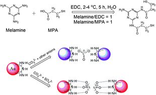 Graphical abstract: Sulfite recognition and sensing using Au nanoparticles as colorimetric probe: a judicious combination between anionic binding sites and plasmonic nanoparticles