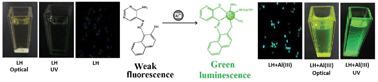 Graphical abstract: An Al3+ induced green luminescent fluorescent probe for cell imaging and naked eye detection