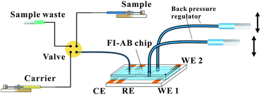 Graphical abstract: A polymeric dual-channel amperometric biosensor chip capable of symmetrically splitting sample bands for parallel micro flow injection determination of glucose and lactate