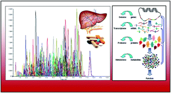Graphical abstract: Drug-induced hepatotoxicity: application of mass spectrometry based metabonomics