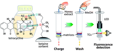 Graphical abstract: An optosensing device for detecting tetracycline antibiotics in honey