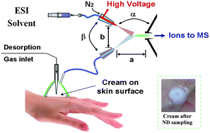 Graphical abstract: Extractive electrospray ionization mass spectrometry for direct characterization of cosmetic products