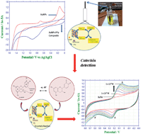 Graphical abstract: One step electrochemical synthesis of gold-nanoparticles–polypyrrole composite for application in catechin electrochemical biosensor