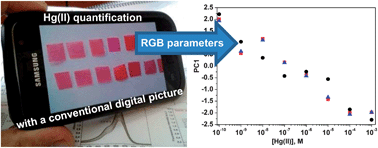 Graphical abstract: Sub-ppm quantification of Hg(ii) in aqueous media using both the naked eye and digital information from pictures of a colorimetric sensory polymer membrane taken with the digital camera of a conventional mobile phone