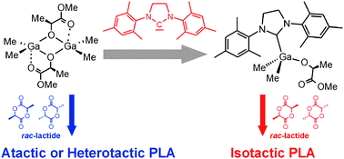 Graphical abstract: The first facile stereoselectivity switch in the polymerization of rac-lactide—from heteroselective to isoselective dialkylgallium alkoxides with the help of N-heterocyclic carbenes