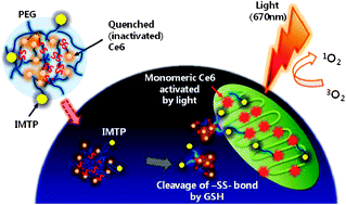Graphical abstract: An artificial photosensitizer drug network for mitochondria-selective photodynamic therapy