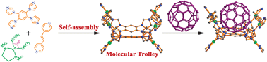 Graphical abstract: Pillar height dependent formation of unprecedented Pd8 molecular swing and Pd6 molecular boat via multicomponent self-assembly