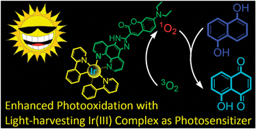 Graphical abstract: Visible-light harvesting iridium complexes as singlet oxygen sensitizers for photooxidation of 1,5-dihydroxynaphthalene