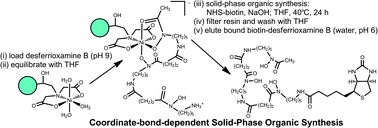 Graphical abstract: Coordinate-bond-dependent solid-phase organic synthesis of biotinylated desferrioxamine B: a new route for metal-specific probes