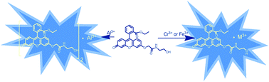 Graphical abstract: A new selective fluorogenic probe for trivalent cations
