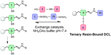 Graphical abstract: Ternary resin-bound dynamic combinatorial chemistry