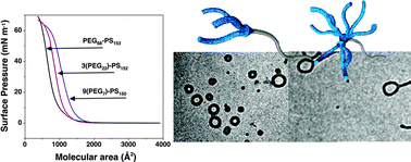 Graphical abstract: Self-assembly of dendritic-linear block copolymers with fixed molecular weight and block ratio