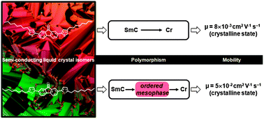 Graphical abstract: Influence of polymorphism on charge transport properties in isomers of fluorenone-based liquid crystalline semiconductors