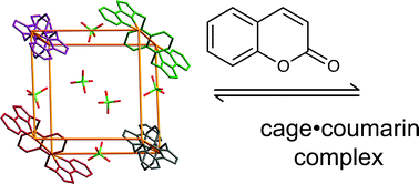 Graphical abstract: Selective guest recognition by a self-assembled paramagnetic cage complex