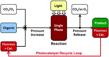 Graphical abstract: Maximising the efficiency of continuous photo-oxidation with singlet oxygen in supercritical CO2 by use of fluorous biphasic catalysis