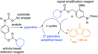 Graphical abstract: Design of small molecule reagents that enable signal amplification via an autocatalytic, base-mediated cascade elimination reaction