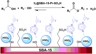Graphical abstract: SBA-15-functionalized sulfonic acid confined acidic ionic liquid: a powerful and water-tolerant catalyst for solvent-free esterifications