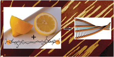 Graphical abstract: Construction of supramolecular helical nanofibers using renewable biomaterials: self-assembly of a cytidylic acid-appended bolaamphiphile in lemon juice