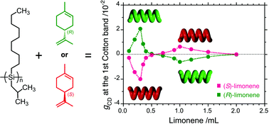 Graphical abstract: Chiroptical generation and inversion during the mirror-symmetry-breaking aggregation of dialkylpolysilanes due to limonene chirality