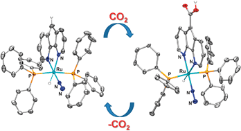 Graphical abstract: Reversible formal insertion of CO2 into a remote C–H bond of a ligand in a Ru(ii) complex at room temperature