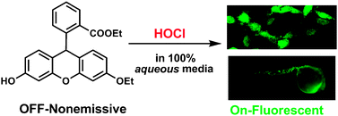 Graphical abstract: Fluorescence turn-on detection of hypochlorous acid via HOCl-promoted dihydrofluorescein-ether oxidation and its application in vivo