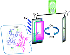 Graphical abstract: Light-to-electron converting panchromatic supramolecular solar cells of phthalocyanine–porphyrin heterodimers adsorbed onto nanocrystalline SnO2 electrodes