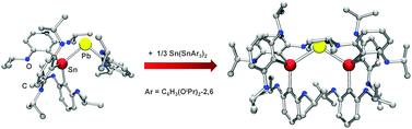 Graphical abstract: Stannylplumbylenes: bonding between tetravalent tin and divalent lead