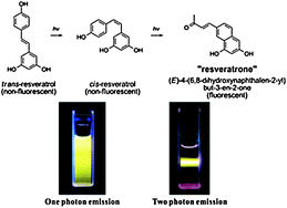 Graphical abstract: Photochemical generation of a new, highly fluorescent compound from non-fluorescent resveratrol