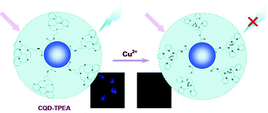 Graphical abstract: Development of a carbon quantum dots-based fluorescent Cu2+ probe suitable for living cell imaging