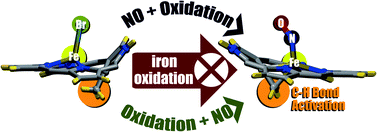 Graphical abstract: Interior aliphatic C–H bond activation on iron(ii) N-confused porphyrin through synergistic nitric oxide binding and iron oxidation