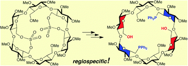 Graphical abstract: Regioselective opening of proximally sulfato-capped cyclodextrins