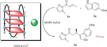 Graphical abstract: Enantioselective Friedel–Crafts reactions in water catalyzed by a human telomeric G-quadruplex DNA metalloenzyme