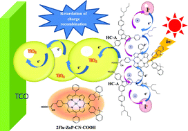 Graphical abstract: Novel D–π–A structured Zn(ii)-porphyrin dyes containing a bis(3,3-dimethylfluorenyl)amine moiety for dye-sensitised solar cells