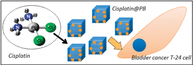 Graphical abstract: Highly biocompatible, hollow coordination polymer nanoparticles as cisplatin carriers for efficient intracellular drug delivery