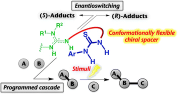 Graphical abstract: Dynamic asymmetric organocatalysis: cooperative effects of weak interactions and conformational flexibility in asymmetric organocatalysts