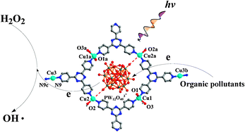 Graphical abstract: Copper based metal–organic molecular ring with inserted Keggin-type polyoxometalate: a stable photofunctional host–guest molecular system
