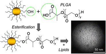 Graphical abstract: Engineering of lipid-coated PLGA nanoparticles with a tunable payload of diagnostically active nanocrystals for medical imaging
