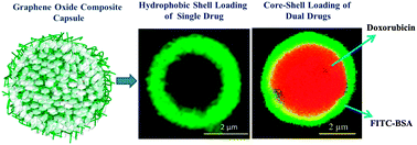 Graphical abstract: Graphene oxide based multilayer capsules with unique permeability properties: facile encapsulation of multiple drugs