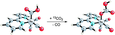 Graphical abstract: Exploring the intermediates of photochemical CO2 reduction: reaction of Re(dmb)(CO)3 COOH with CO2