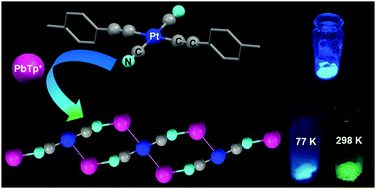 Graphical abstract: Novel mixed anion [trans-Pt(C [[triple bond, length as m-dash]] CTol)2(CN)2]2− as a building block of new luminescent PtII–TlI and PtII–PbII coordination polymers