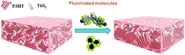 Graphical abstract: Self-vertical phase separation study of nanoparticle/polymer solar cells by introducing fluorinated small molecules