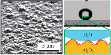 Graphical abstract: A “non-sticky” superhydrophobic surface prepared by self-assembly of fluoroalkyl phosphonic acid on a hierarchically micro/nanostructured alumina gel film