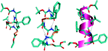 Graphical abstract: α/γ4-Hybrid peptide helices: synthesis, crystal conformations and analogy with the α-helix