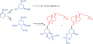 Graphical abstract: A general approach to the synthesis of enantiopure 19-nor-Vitamin D3 and its C-2 phosphate analogs prepared from cyclohexadienyl sulfone