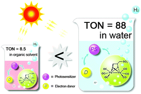 Graphical abstract: Photocatalytic hydrogen production from a simple water-soluble [FeFe]-hydrogenase model system