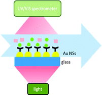 Graphical abstract: Sensing using localised surface plasmon resonance sensors