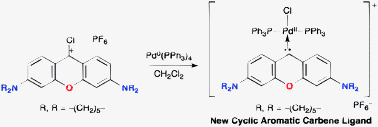 Graphical abstract: Synthesis of new cyclic aromatic carbene ligands bearing remote amino groups and their palladium(ii) complexes