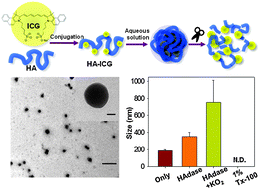 Graphical abstract: Indocyanine green encapsulated nanogels for hyaluronidase activatable and selective near infrared imaging of tumors and lymph nodes